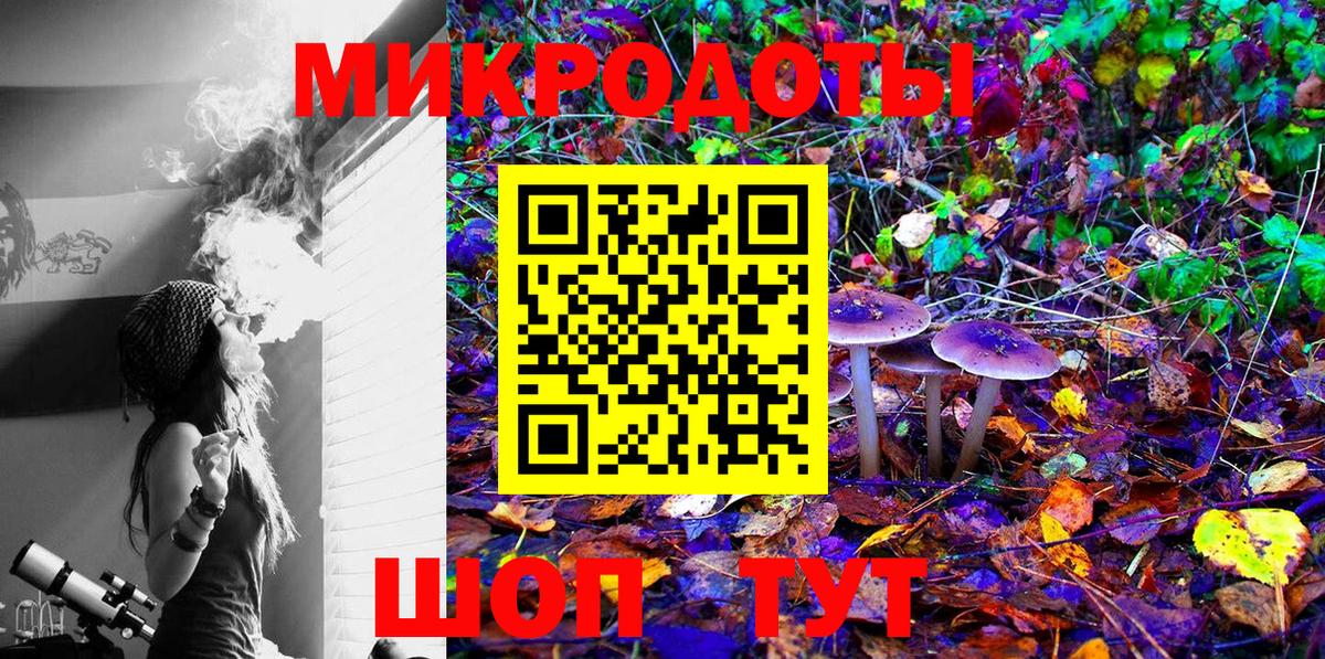 Десногорск  Псилоцибиновые грибы мицелий  Вход с VPN 
